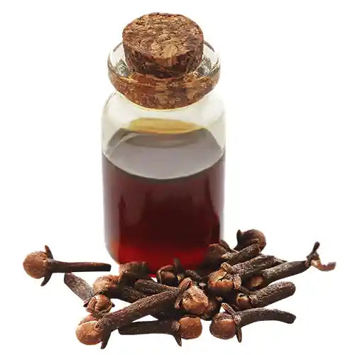 Clove Oil