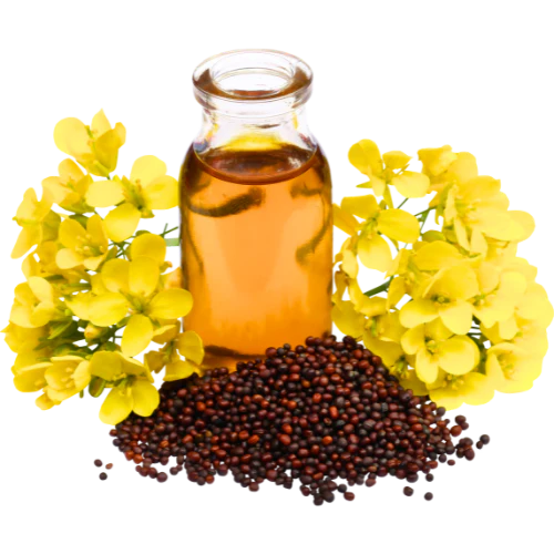 Mustard Oil